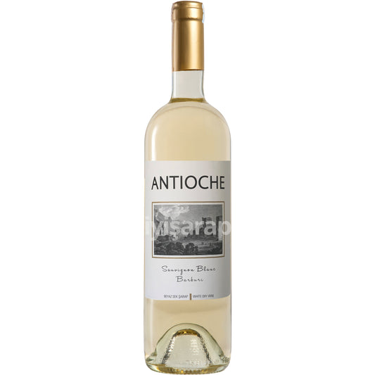 Antioche Sauvignon Blanc & Barburi