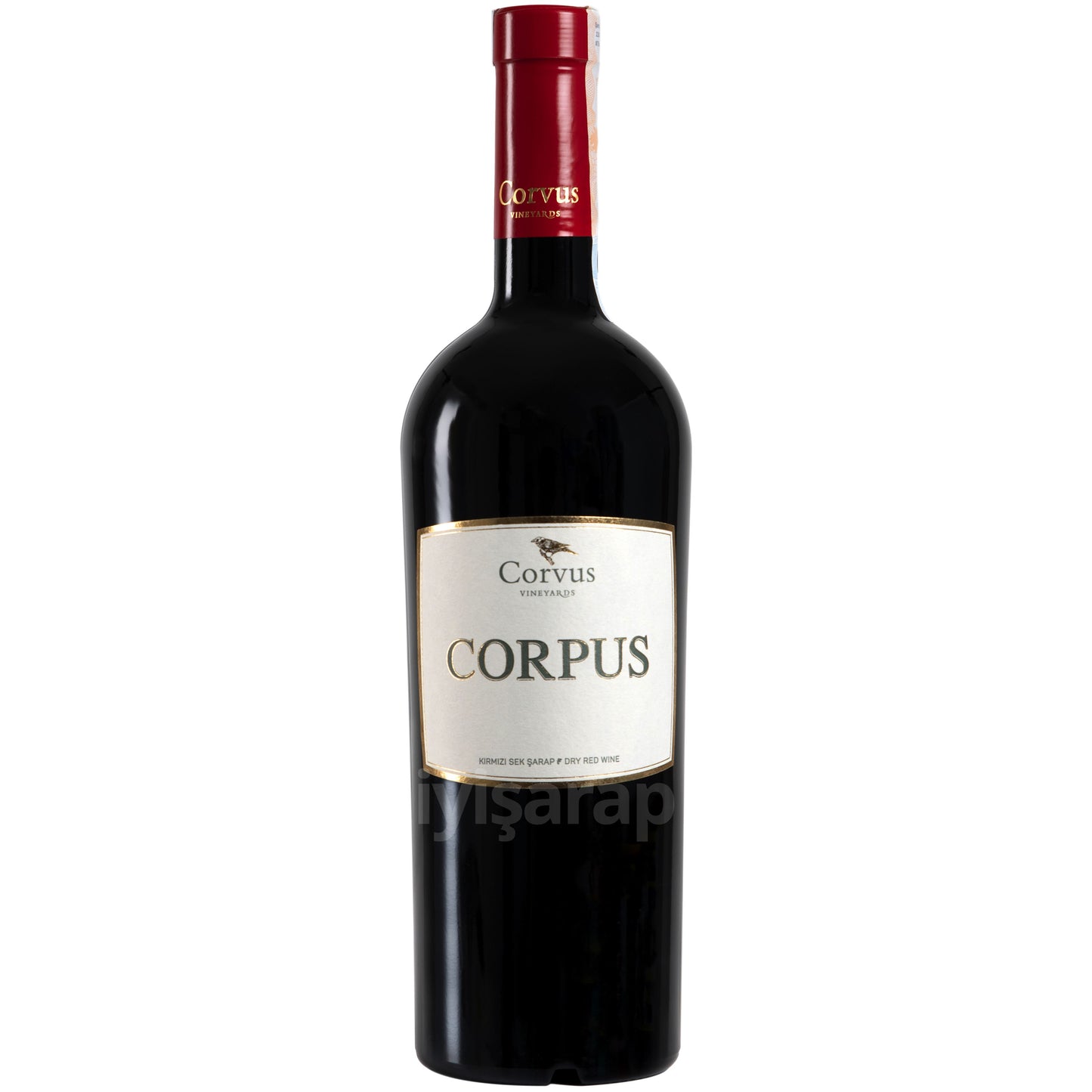 Corvus Corpus